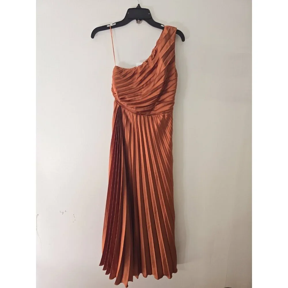 Abercrombie Fitch Giselle Pleated One Shoulder Maxi Copper Terracotta Dress XSP